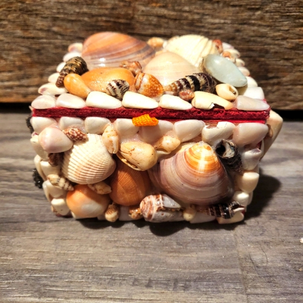 Handmade real seashell Treasure jewelry/keepsake/ potpourri box.